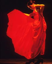 Flamenco 